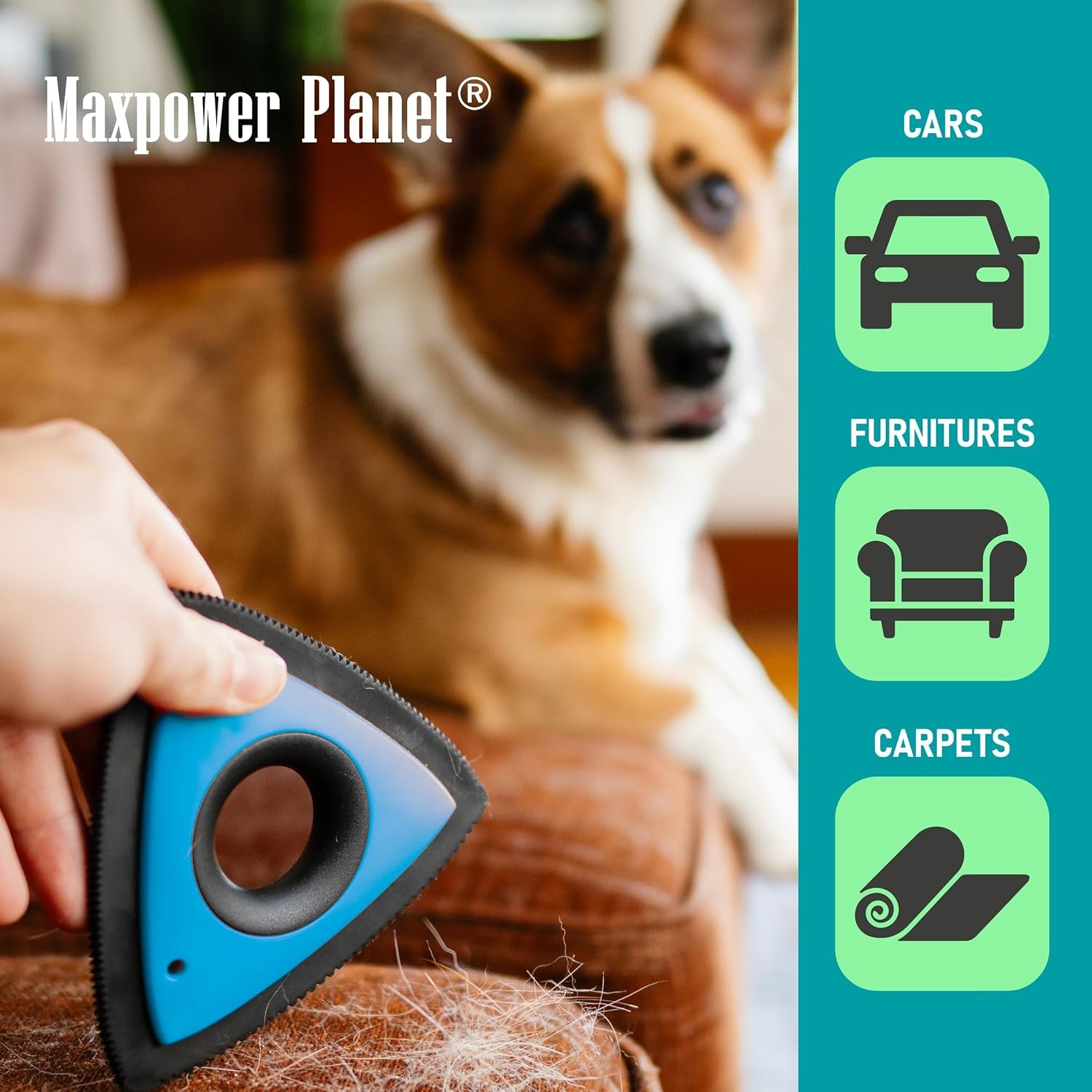 Dog Hair Remover, Dog Hair Remover for Car Carpet, Dog Hair Remover Car Detailin